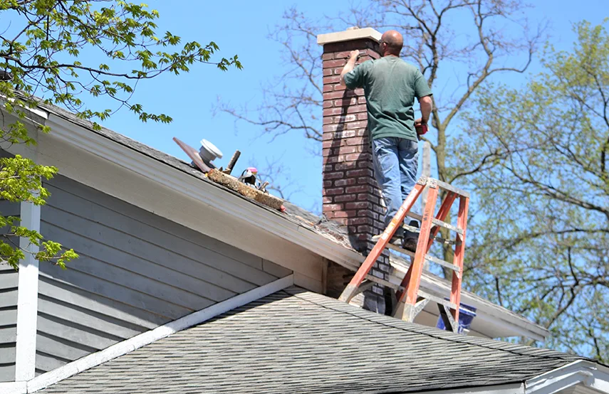 Chimney & Fireplace Inspections Services in Minnetonka, MN